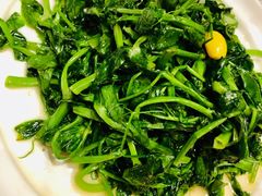 银杏豌豆尖-眉州东坡(远洋未来广场店)