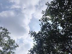 -凤岗南门山森林公园