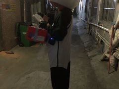 -熊猫不走生日蛋糕(东城店)