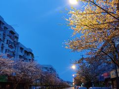 -永乐路-路侧停车场
