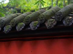 -成都武侯祠博物馆