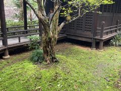 -黄公望隐居地