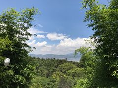 -蝴蝶泉公园