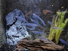 -上海海洋水族馆