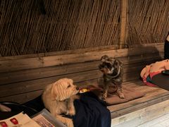 -毛辣果·酸(OHA复兴西路店)