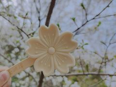 -芳婆糕团店(王府大街店)