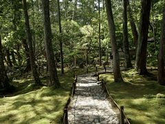 -西芳寺(苔寺)