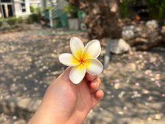 -曼谷国家博物馆