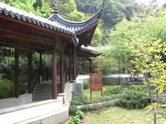 回廊-十八棵（老龙井）御茶园(老龙井店)