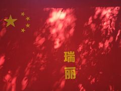 -独树成林