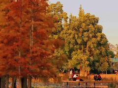 -白鹭湾湿地公园