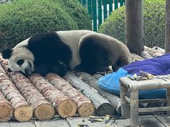 -大连森林动物园