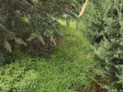 -燕郊植物园
