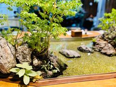 -森味薪火烧•烧鸟居酒屋•日本料理(望京店)