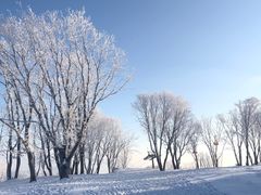 -中旅松花湖滑雪场