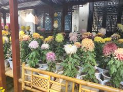 -无锡惠山寺