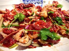 -马晓马佳牛羊肉(新合路店)