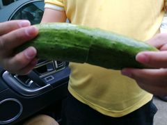-翠茗农庄土菜馆(天目湖店)