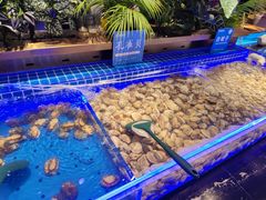 -鼎香缘海鲜自助火锅烤肉(锦辉购物广场店)