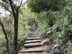 -杭州半山国家森林公园