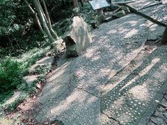 -上海佘山国家森林公园天马山园