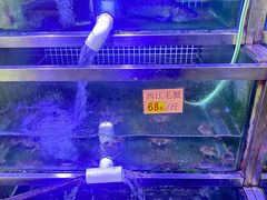 -八仔大富楼·河鲜(西江店)