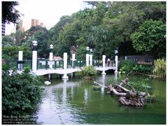 -九龙公园
