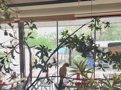 -奉天宴遇烧烤·冒锅