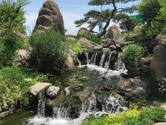 -罗红摄影艺术馆