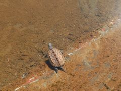 -仙海旅游度假区