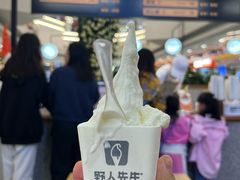 -野人先生Gelato(上海长宁龙之梦店)