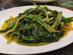 豆酱油麦菜-春来和(汉城南路店)