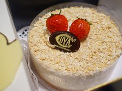 招牌燕麦蛋糕-COVA(上海K11艺术中心店)
