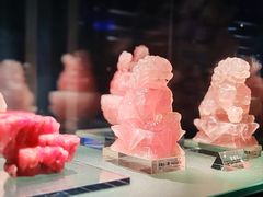 -中国地质博物馆