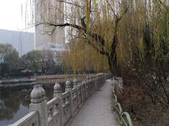 -文瀛公园