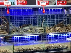 -必点海鲜·鲅鱼水饺(鞍山西道店)