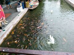 -水都餐厅