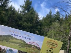 -白草畔自然风景区