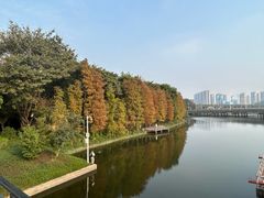 -顺峰山公园