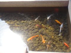 DSC01419-苏州吴宫泛太平洋酒店