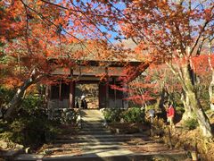 -常寂光寺