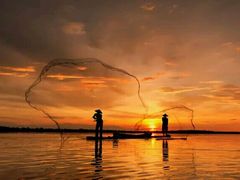 -白洋淀绿淀尚品土特产