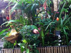-Jungle Kitchen