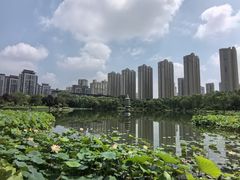 -木塔寺遗址生态公园