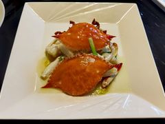 -碧丽宫大酒店(召稼楼店)
