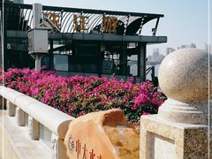 -珠江夜游广州塔·中大码头