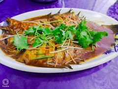 红焖野生长脖鱼-威海渔村(静安旗舰店)
