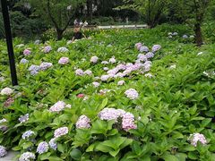 -兰溪青年公园