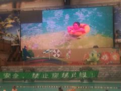 -南宫温泉水世界