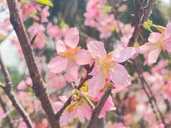 -广东中医药博物馆